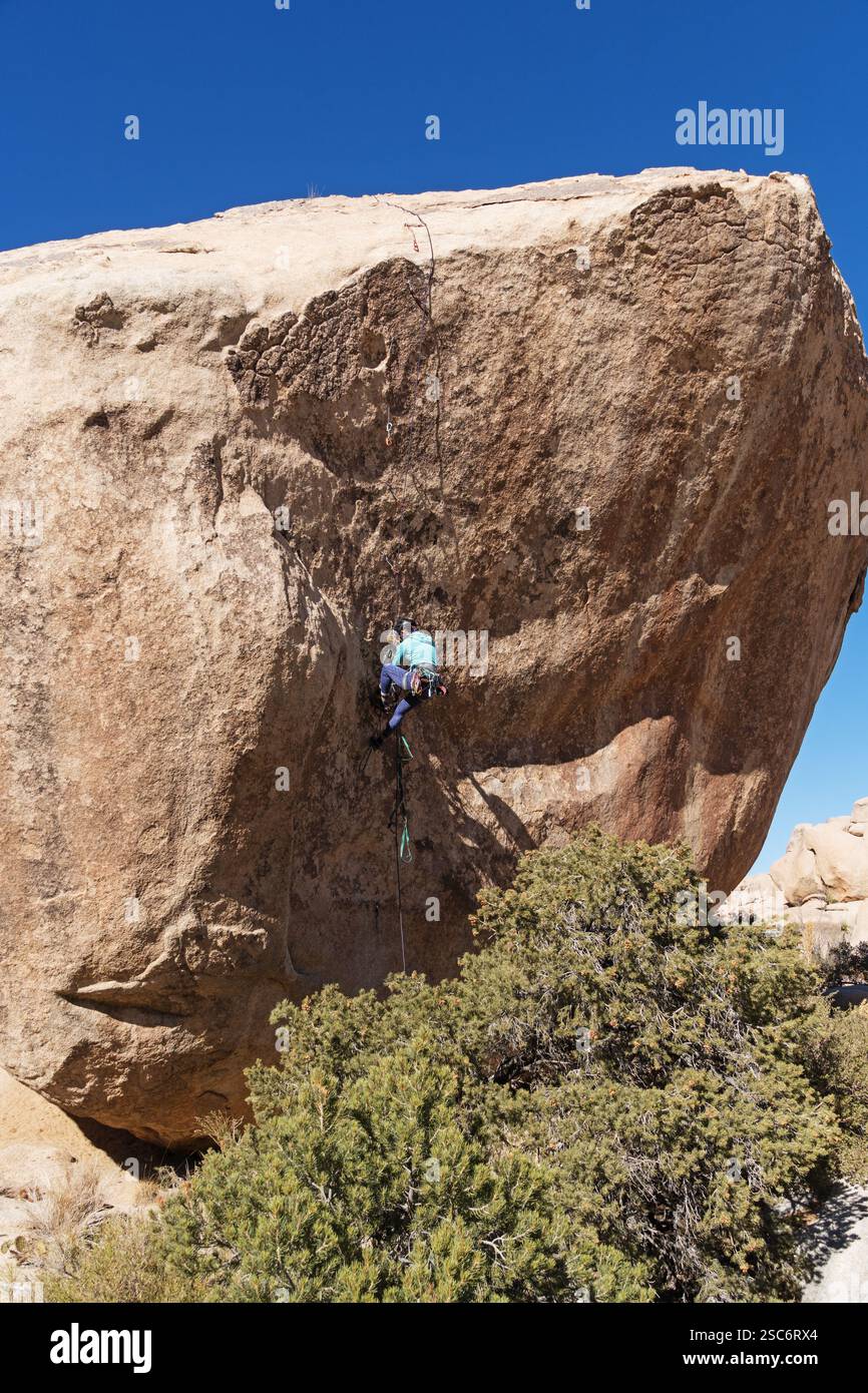 Donna che pratica aiuto salendo su una scala a chiavistelli fino al Don Juan Boulder nel Joshua Tree National Park Foto Stock