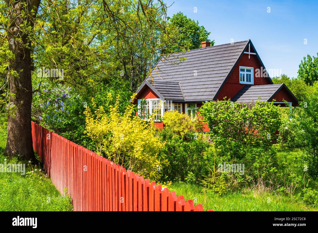 Vecchia casa rustica in legno con recinzione rossa nel piccolo villaggio , Parco Nazionale di Wigry, Podlasie, Polonia Foto Stock