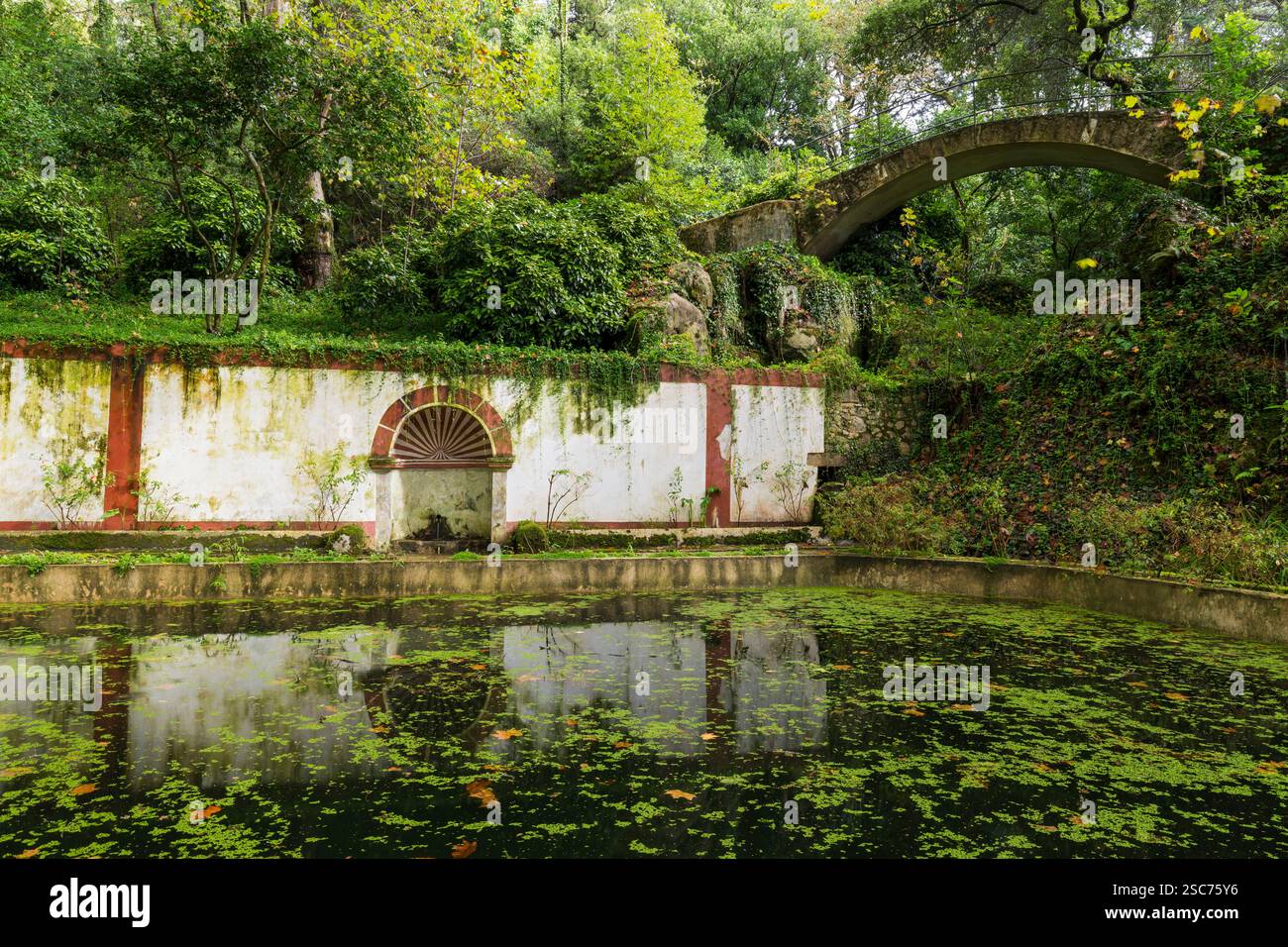 Bacino idrico del Parque da pena, Parco naturale di Sintra-Cascais, Lisbona, Portogallo Foto Stock