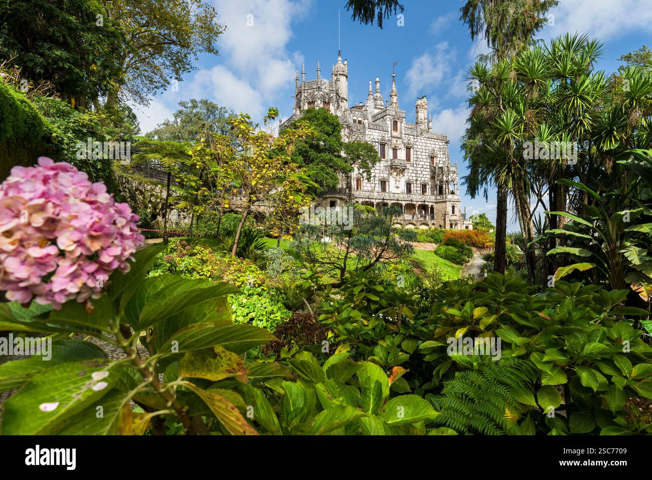 Hordensia, Quinta da Regaleira, Parco naturale Sintra-Cascais, Lisbona, Portogallo Foto Stock
