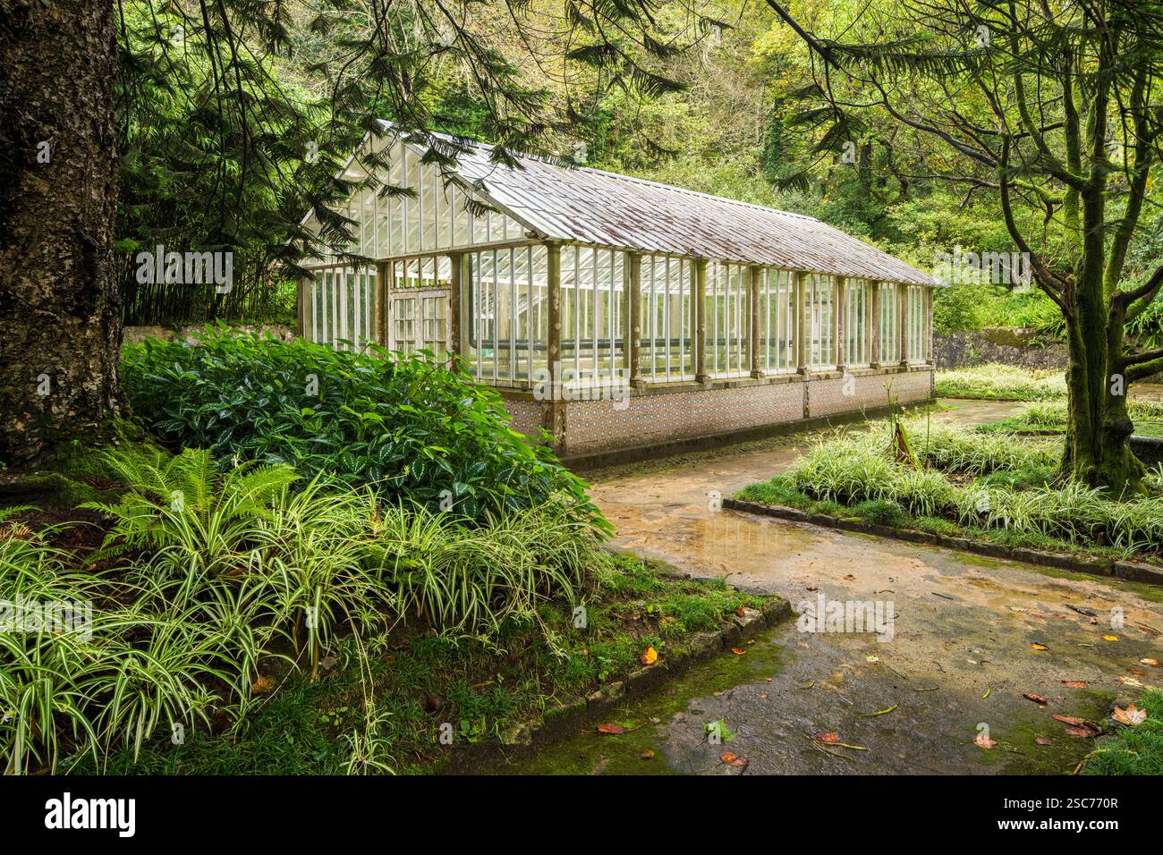 Vetreria a Parque da pena, Parco naturale Sintra-Cascais, Lisbona, Portogallo Foto Stock