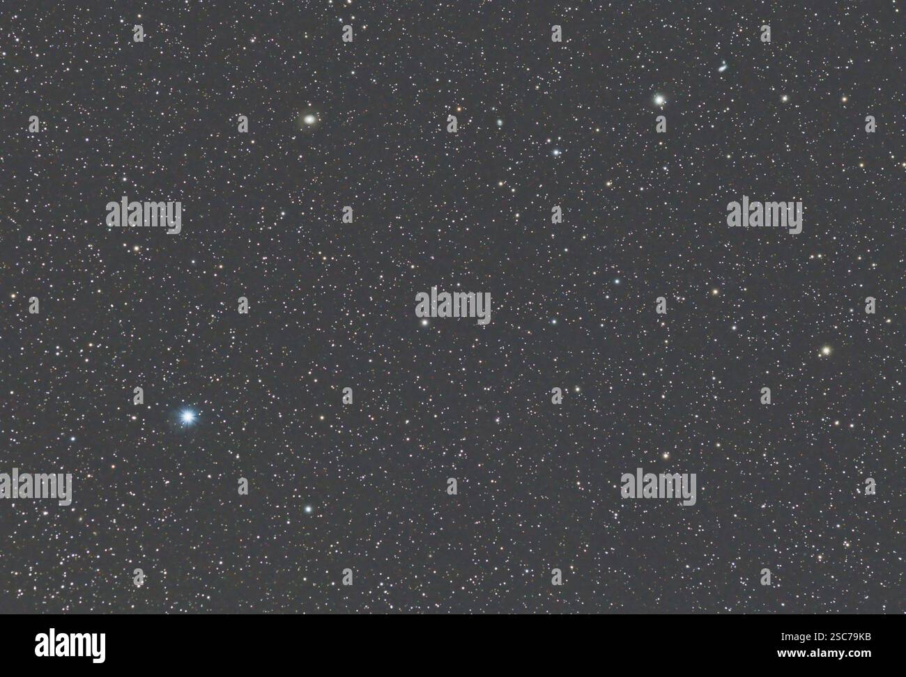 Cani da caccia, piccola costellazione settentrionale. Stelle scintillanti sparse in un cielo notturno, mappa stellare a campo ampio Foto Stock