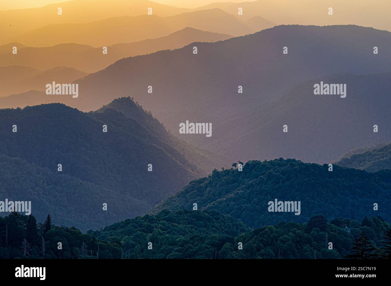 La luce dorata proietta un bagliore nebbioso sulle ondulate creste montane del Parco Nazionale delle Great Smoky Mountains, creando un paesaggio tranquillo e stratificato. Foto Stock