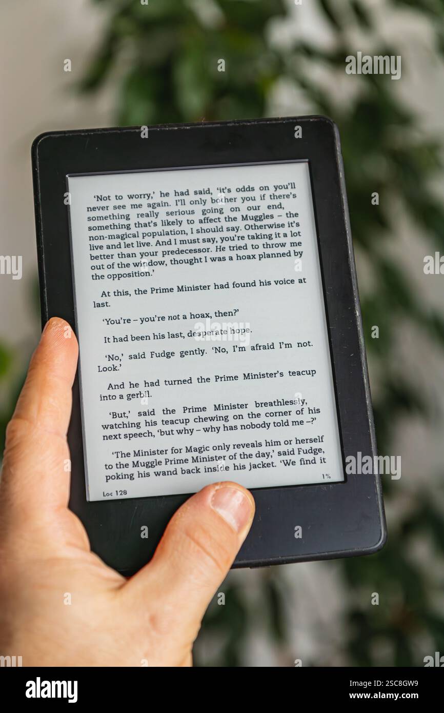 Una mano tiene in mano un lettore e che mostra una narrazione avvincente. L'atmosfera accogliente invita i lettori a vivere un'avventura letteraria coinvolgente durante la lettura di libri elettronici Foto Stock