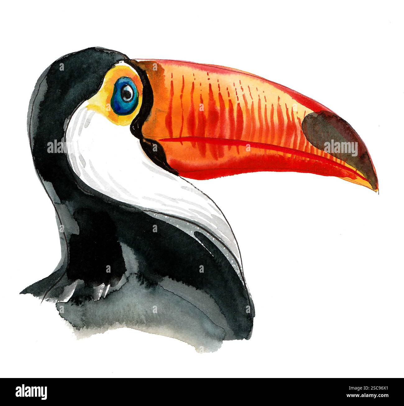 Testa di uccello Toucan. Illustrazione ad acquerello disegnata a mano Foto Stock