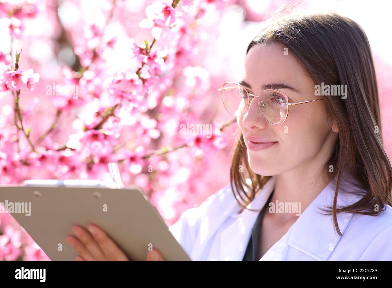 Biologo che controlla i fiori di un albero in un campo rosa Foto Stock