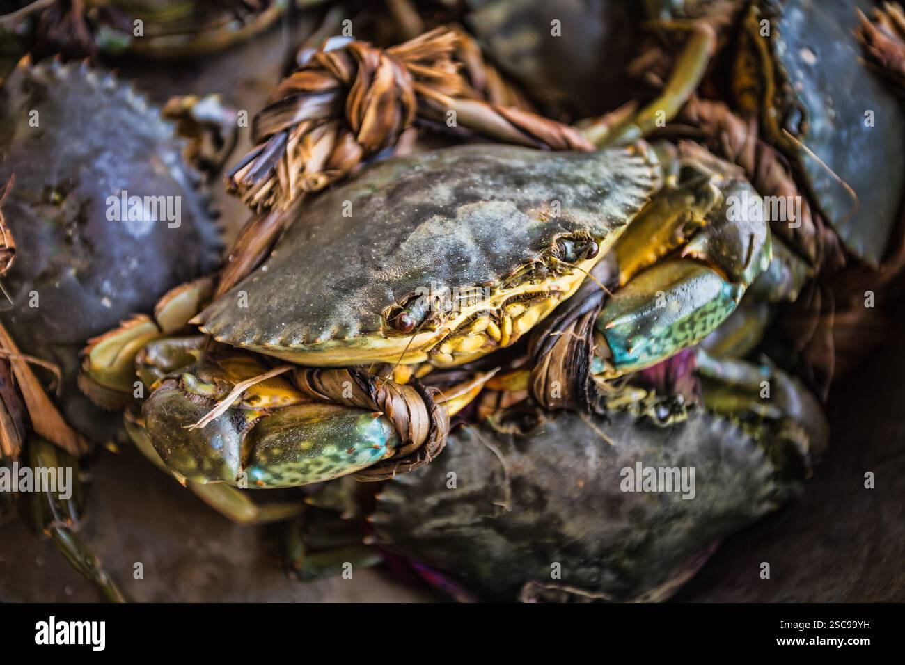I granchi si legano al mercato di ho chi Minh Foto Stock