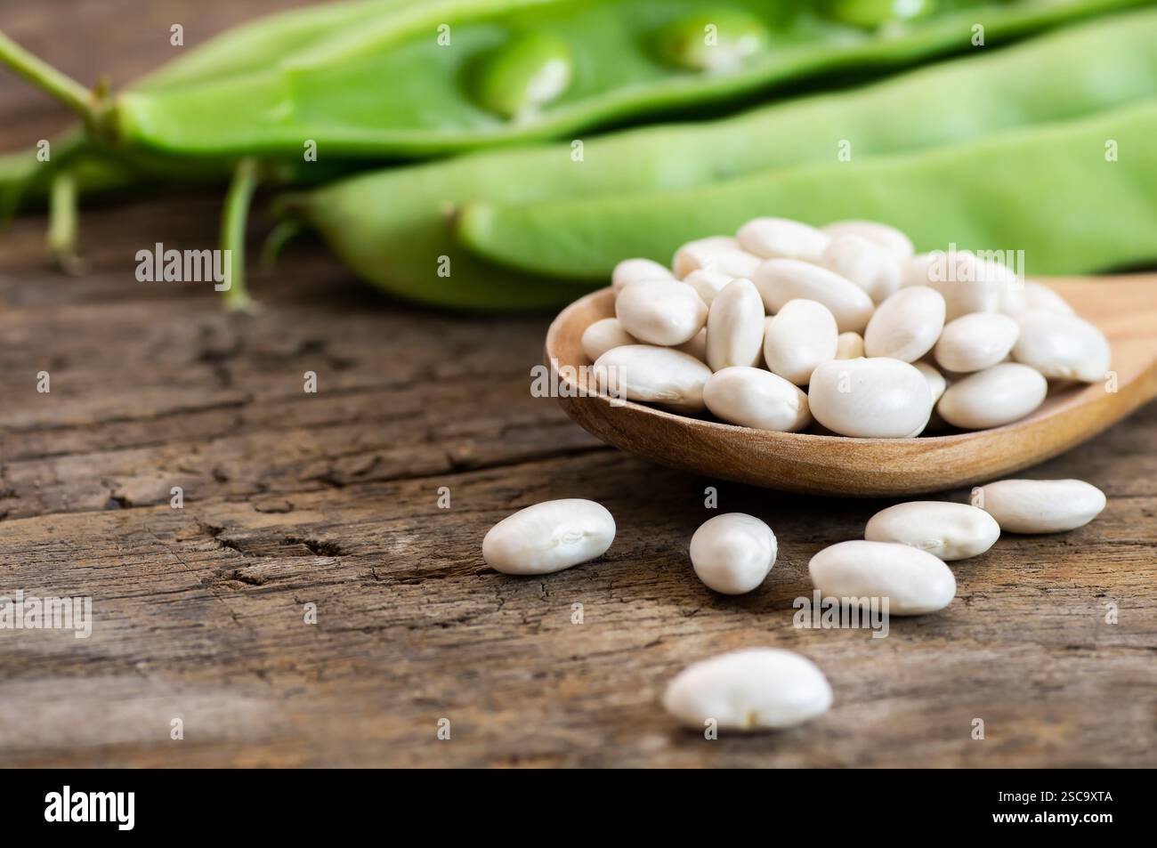 Fagioli di fagioli bianchi secchi crudi crudi crudi freschi su un tavolo rustico. Mucchio di leguminose fagioli di fagiolo ( Phaseolus vulgaris ) Foto Stock