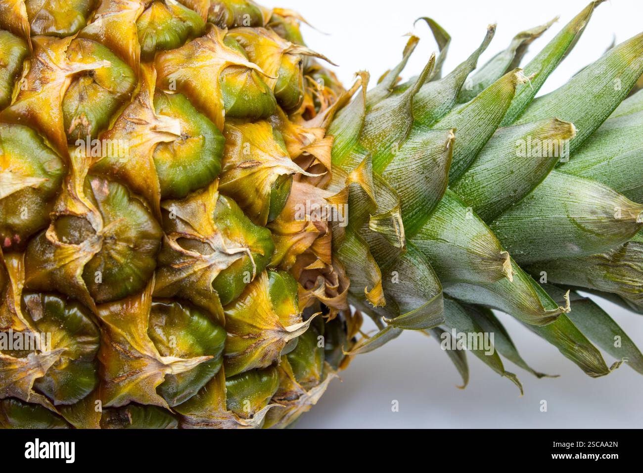 consistenza fresca di ananas maturo Foto Stock