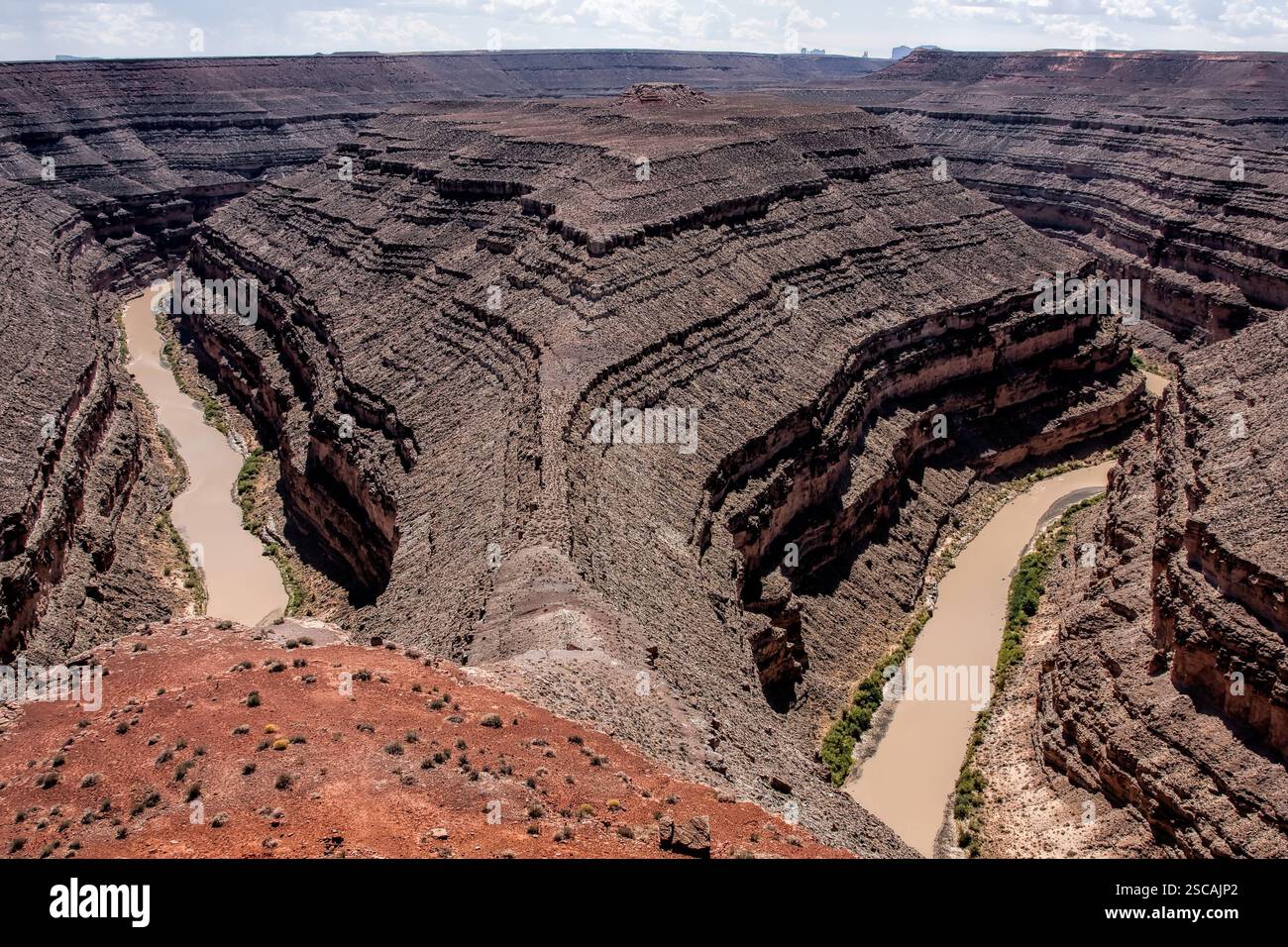 Il Goosenecks State Park si trova vicino al confine meridionale dello stato dello Utah, negli Stati Uniti occidentali. Si affaccia su un profondo meandro del San Ju Foto Stock