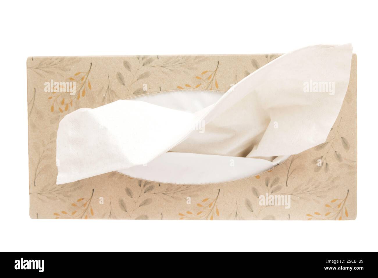 Vista dall'alto di una scatola di tessuto isolata su sfondo bianco Foto Stock