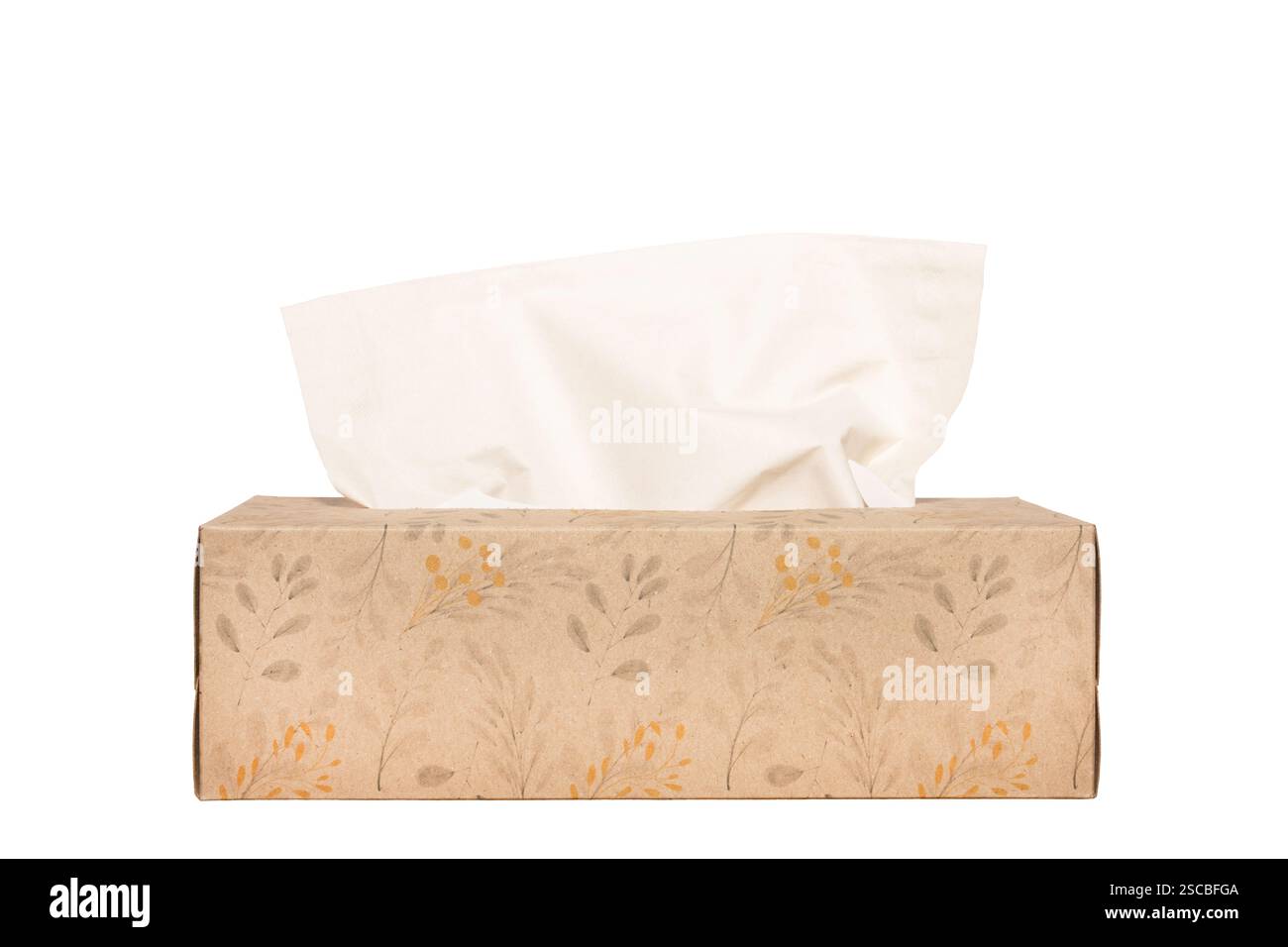 Vista laterale di una scatola per tessuti isolata su sfondo bianco Foto Stock