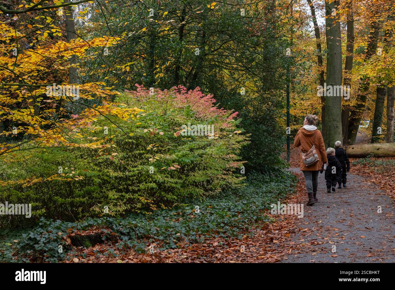 La madre cammina con i suoi figli attraverso il Randenboekpark nella città olandese di Amersfoort in autunno. Foto Stock