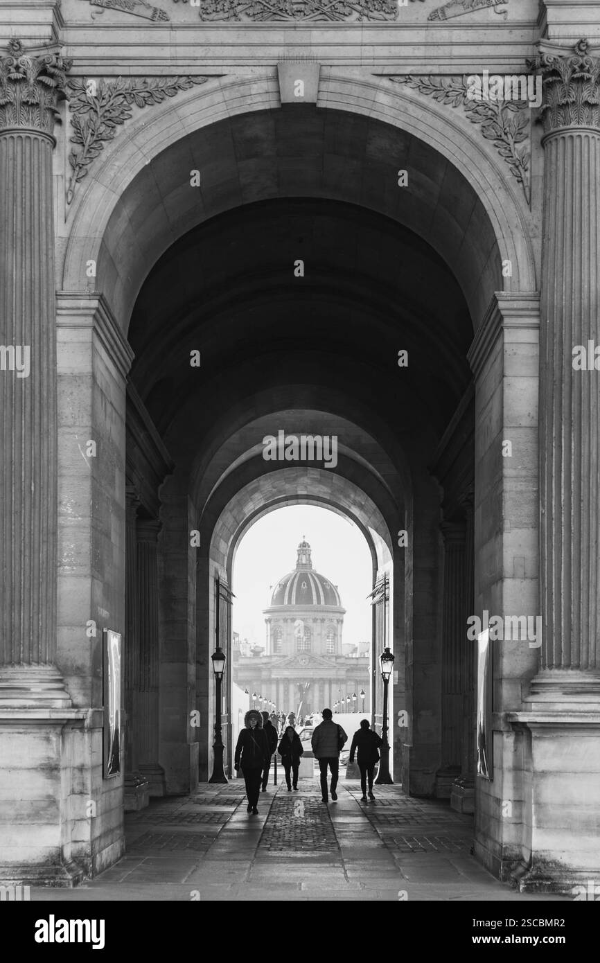 Parigi, Francia - 24 gennaio 2022: Vista esterna dell'Accademia francese delle Scienze o dell'Istituto francese lungo il fiume Sein e, Parigi, Francia. Foto Stock