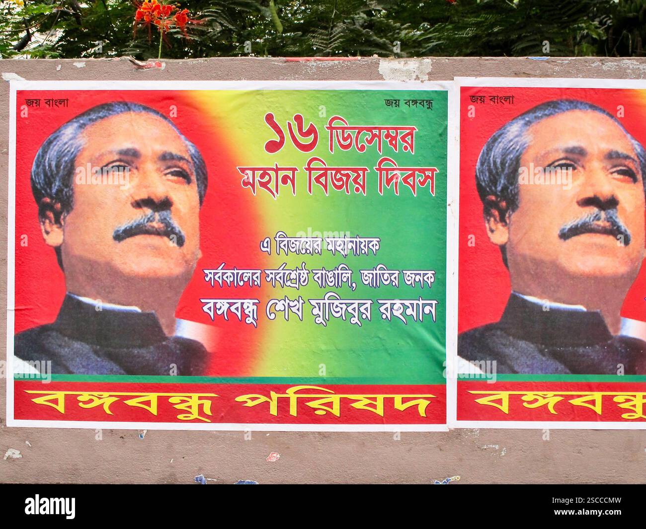 Manifesti del giorno della vittoria a Dhaka onorano lo sceicco Mujibur Rahman, che lo ritrae come il “più grande Bengali” e “padre della nazione”. Foto Stock