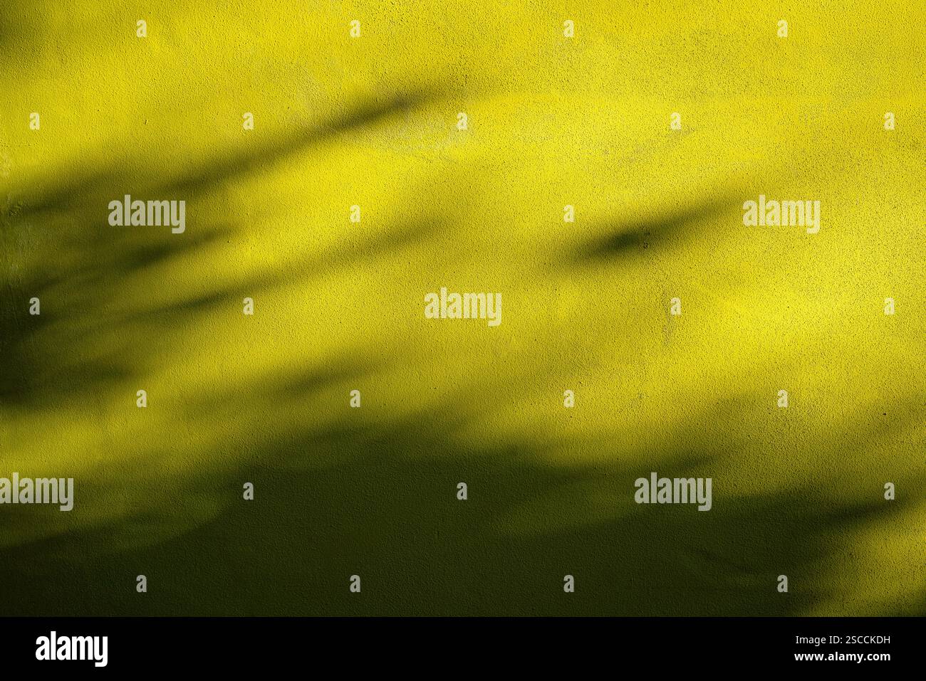 Piantare e lasciare ombra su un muro giallo di una casa. Foto adatta per sfondo o sfondo di design. Ottima consistenza leggera e spazio di copia per afferrare Foto Stock