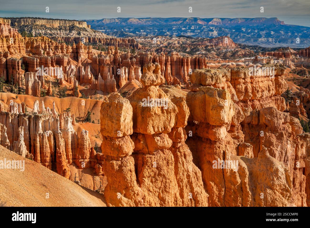 Hoodoos, Parco Nazionale di Bryce Canyon, Utah, Stati Uniti d'America Foto Stock