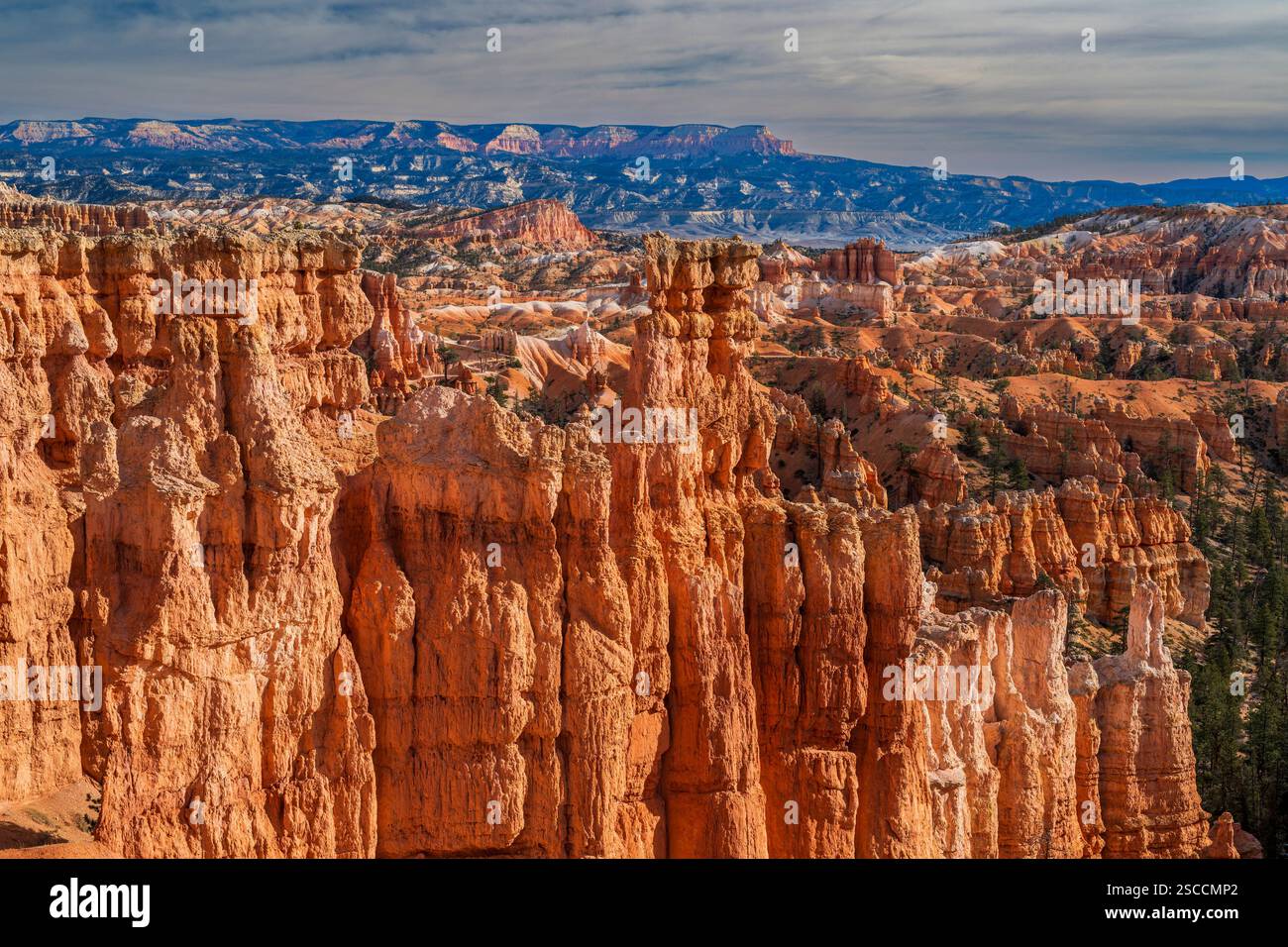 Hoodoos, Parco Nazionale di Bryce Canyon, Utah, Stati Uniti d'America Foto Stock
