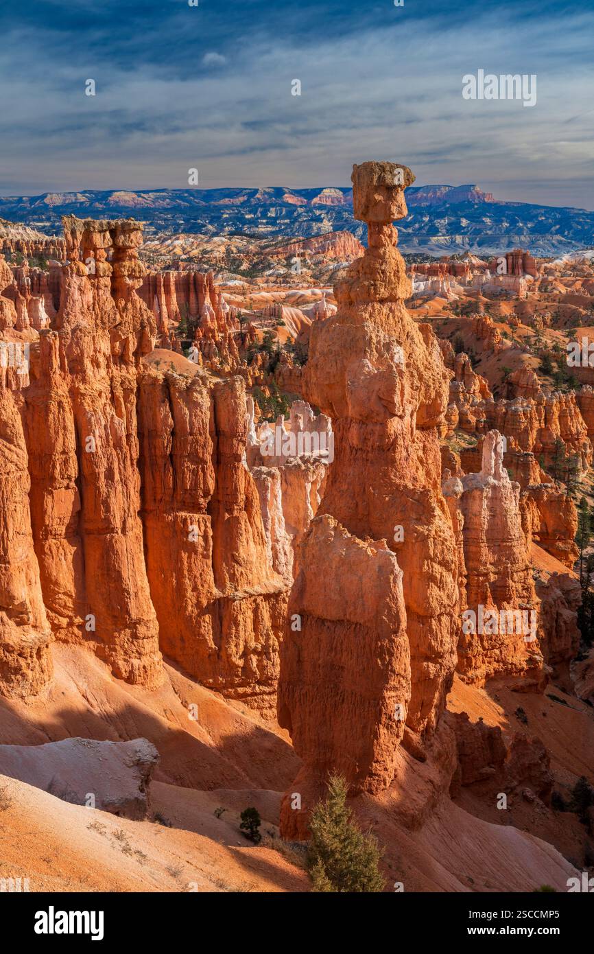 Il Thor del martello, il Parco Nazionale di Bryce Canyon, Utah, Stati Uniti d'America Foto Stock