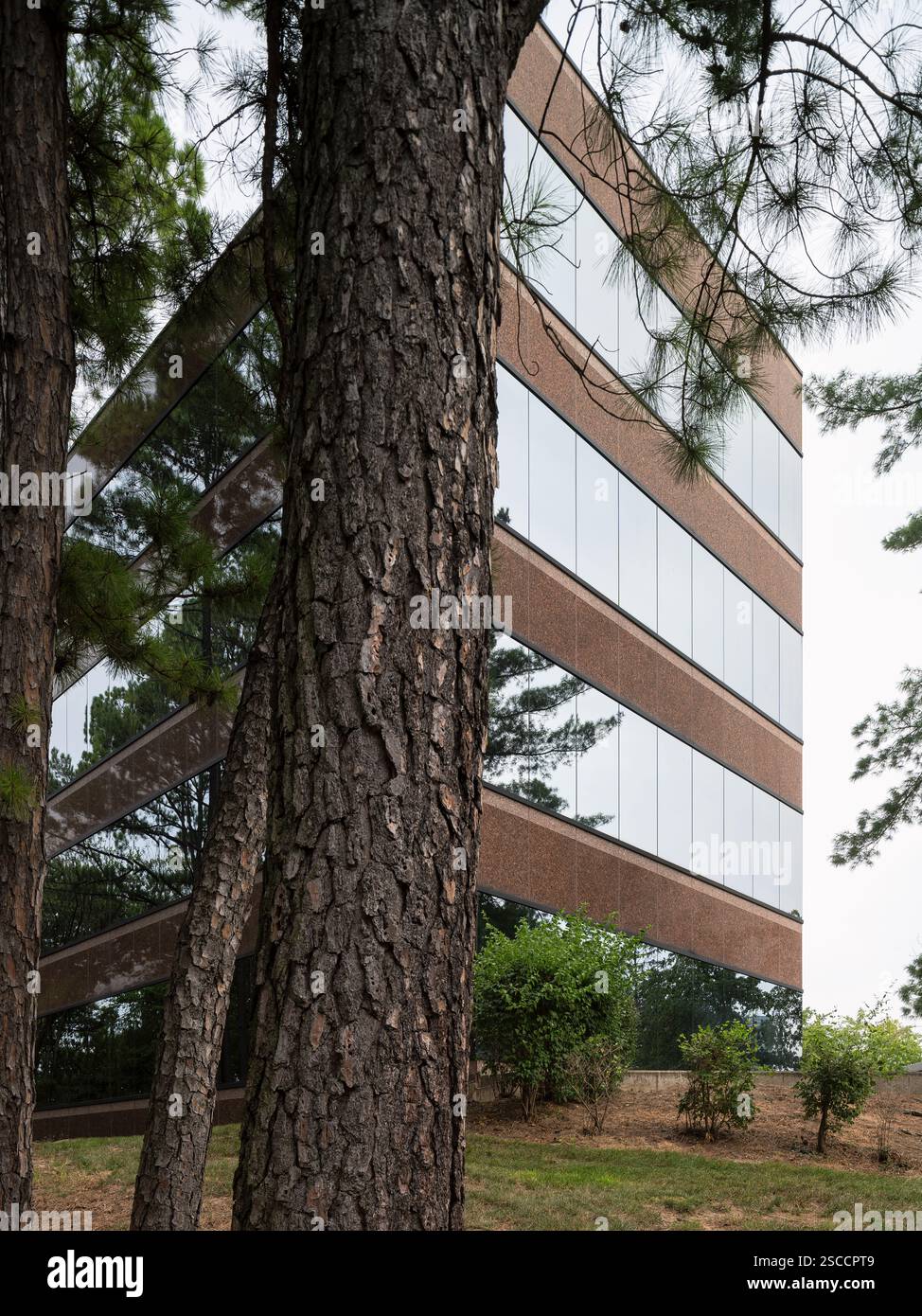 550 Maryville Centre, ubicazione: Town and Country MO, architetto: R.I. Boland Foto Stock