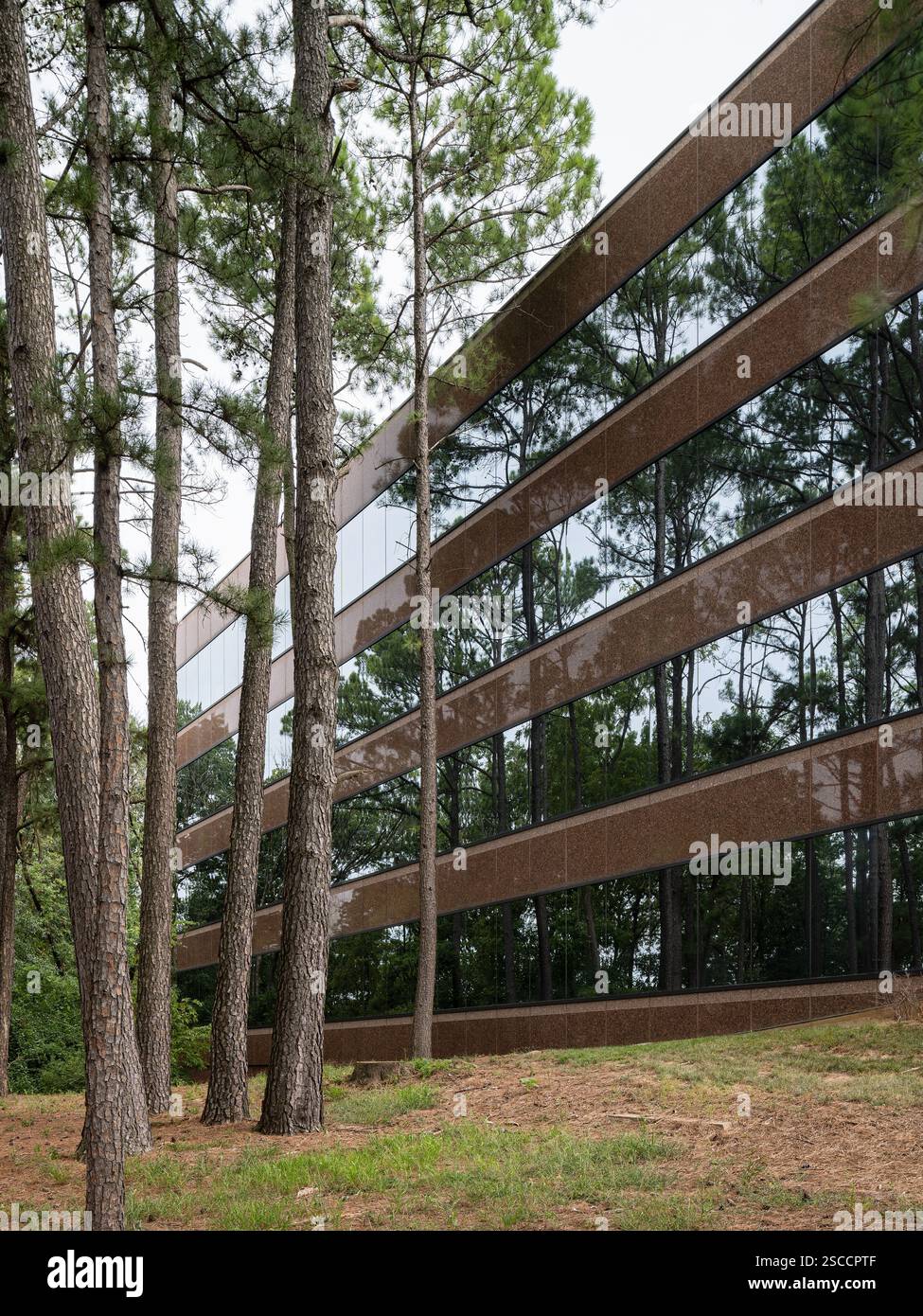 550 Maryville Centre, ubicazione: Town and Country MO, architetto: R.I. Boland Foto Stock