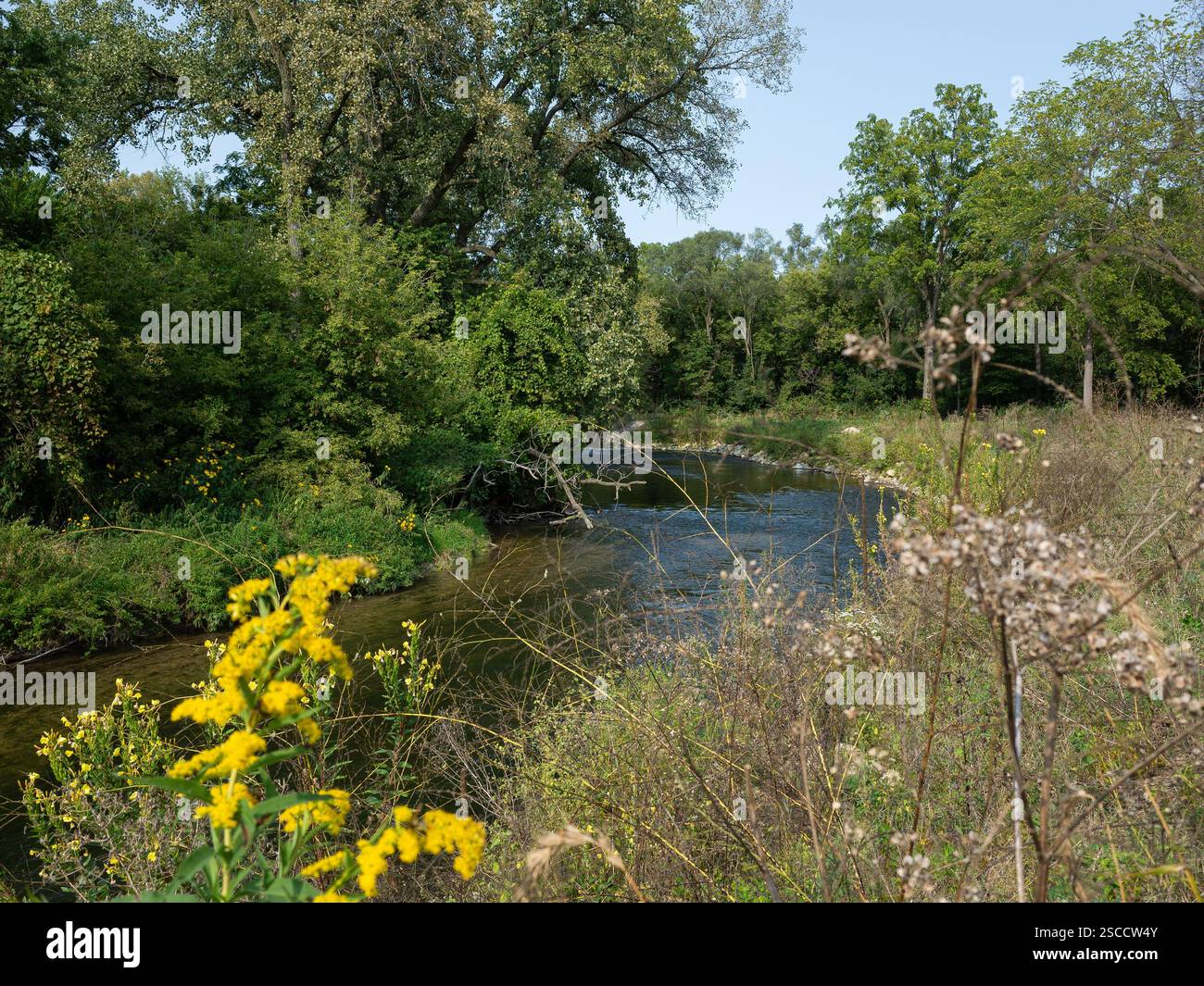 Turtle Creek, località: Beloit, WISCONSIN Foto Stock
