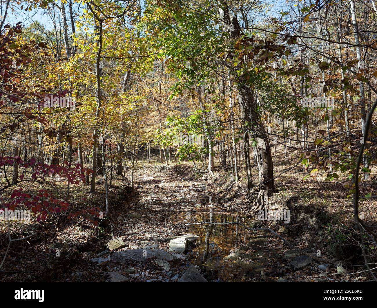 Powder Valley Conservation Nature Center, località: Kirkwood, Missouri Foto Stock