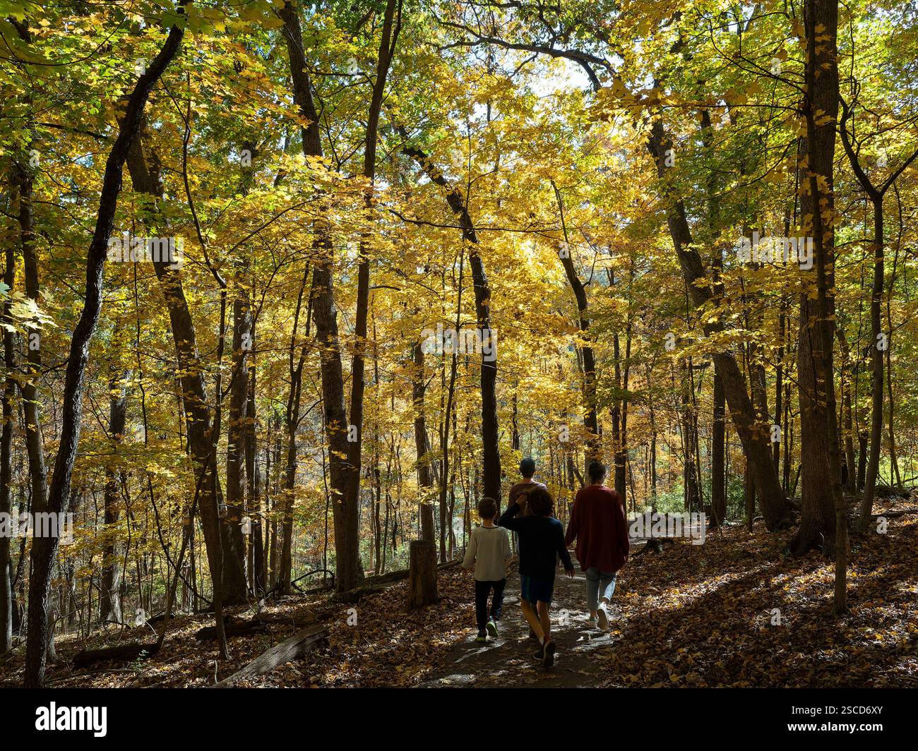Powder Valley Conservation Nature Center, località: Kirkwood, Missouri Foto Stock