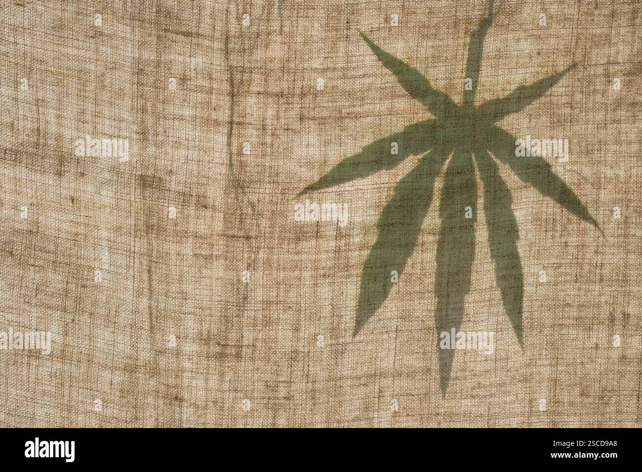 Silhouette verde di una foglia di canapa su tela di canapa. Foglia di cannabis. Contro il sole. Copia spazio. Foto Stock