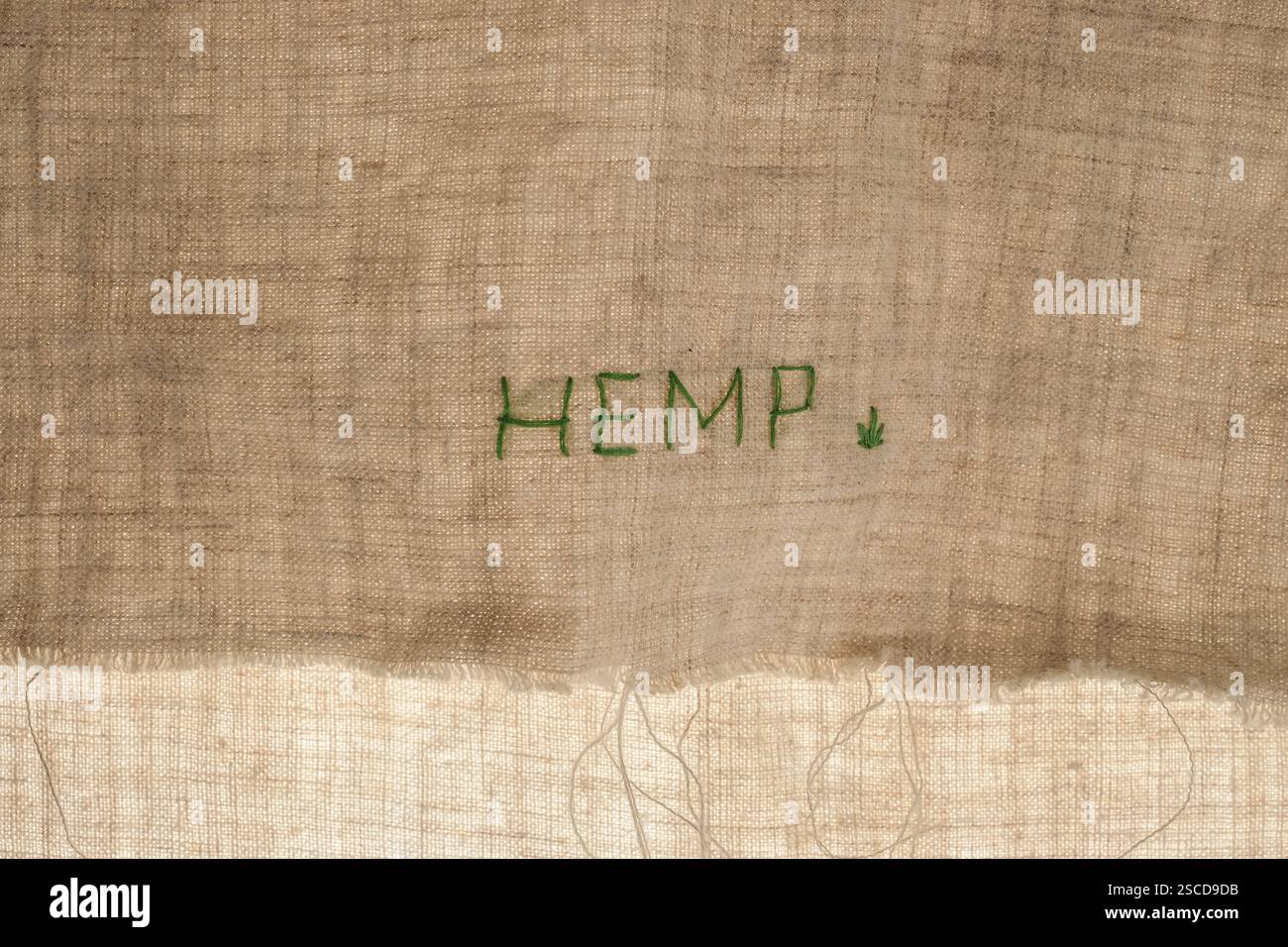 Tela ruvida di canapa con bordi strappati. La parola canapa è ricamata sul tessuto. Foto Stock