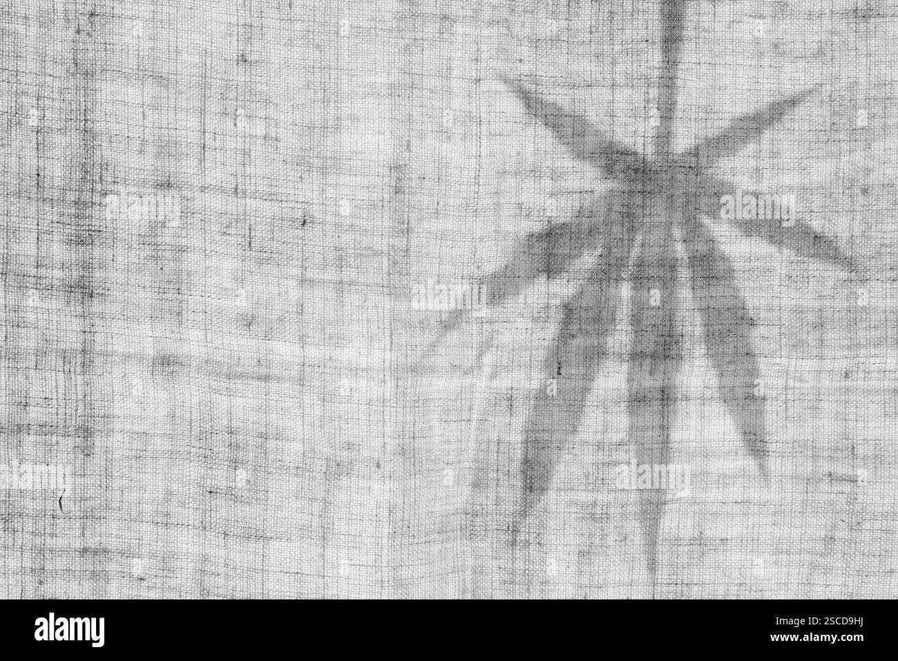 Profilo in foglia di canapa su tela di canapa. Foglia di cannabis. Bianco e nero. Copia spazio. Foto Stock