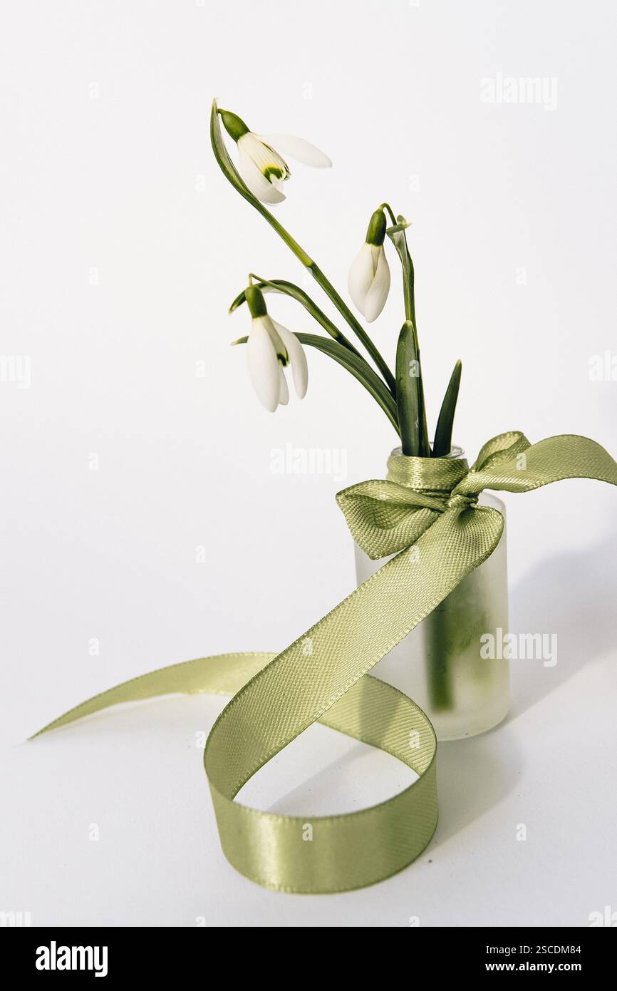 Primavera, Pasqua composizione con coniglietto e fiori primaverili. In un piccolo vaso ci sono gocce di neve e un coniglietto pasquale su sfondo bianco. Foto Stock