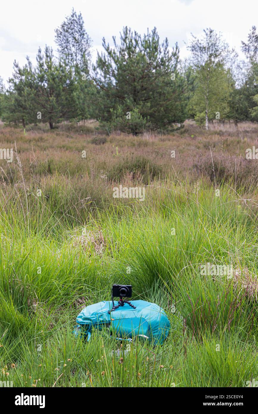 Piccola fotocamera nera su un piccolo treppiede sullo zaino pronta per un selfie nel mezzo del campo delle erica Foto Stock