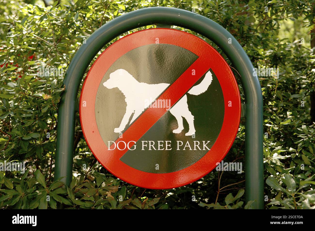 Nessun cartello per cani a Central Park, New York, Stati Uniti, Nord America Foto Stock