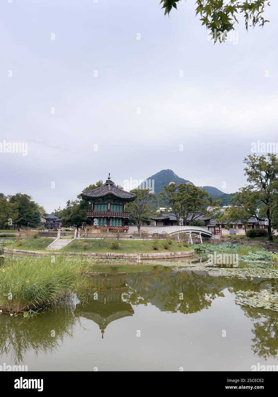 Lotus Pond | Gyeongbokgung Palace, Seoul Corea del Sud - Immagine stock catturata con smartphone
