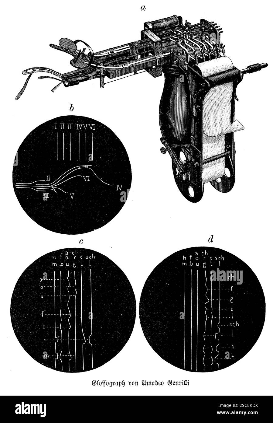Glossografo di Gentilli. Un oscuro dispositivo di scrittura del XIX secolo, il Glossografo di Gentilli, è stato progettato per una rapida trascrizione della stenografia catturando le vibrazioni della lingua e delle labbra. Un pezzo dimenticato ma affascinante di storia stenografica, ha contribuito ai progressi nel prendere appunti e nelle prime comunicazioni aziendali. Foto Stock