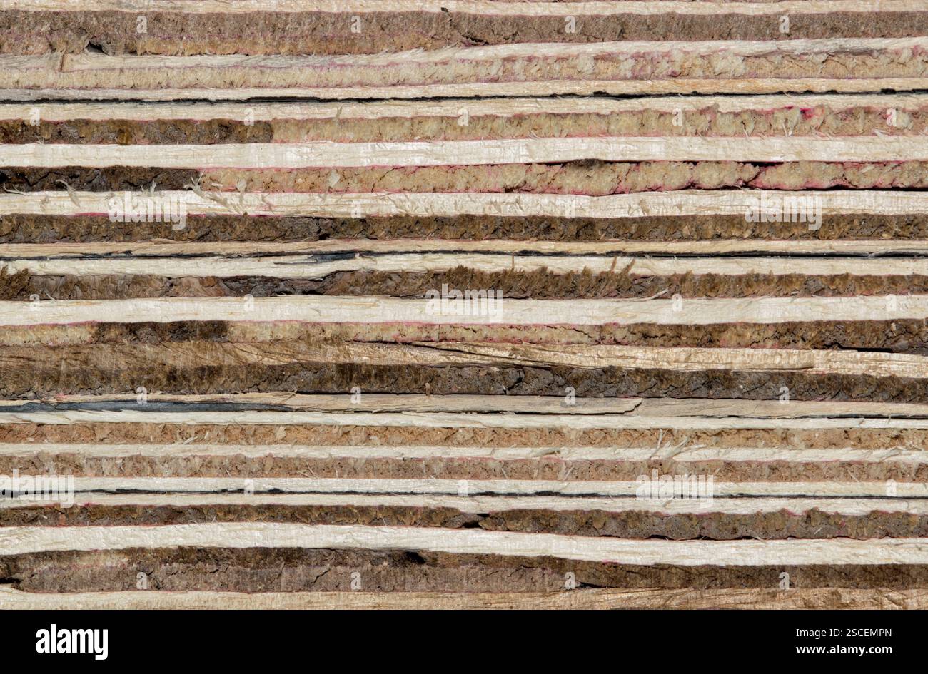 Compensato di legno tenero strati di materiale da costruzione in legno pannello di dettaglio. Foto Stock
