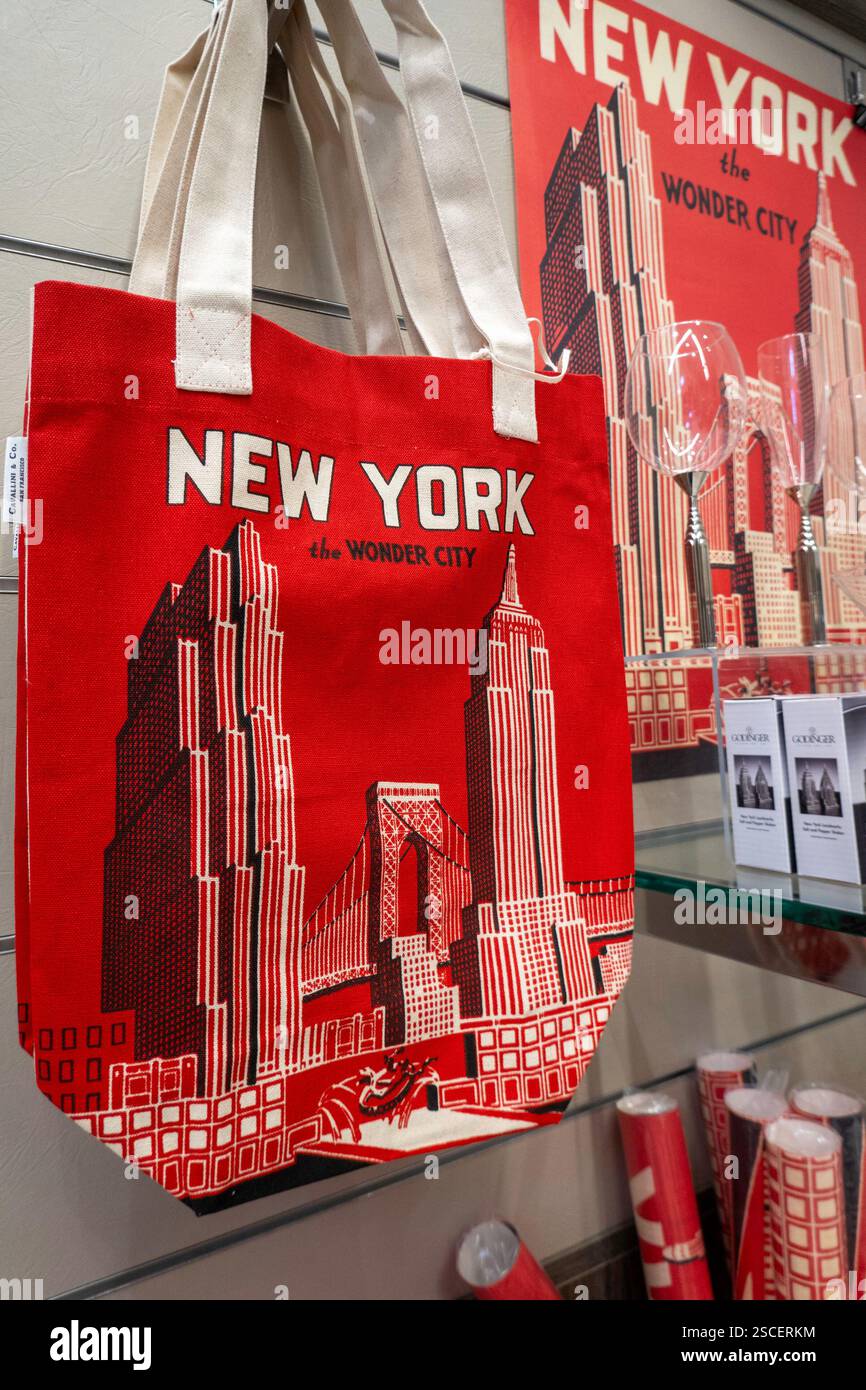 Il negozio di articoli da regalo presso la New York Historical Society & Library, NYC, USA 2025 Foto Stock