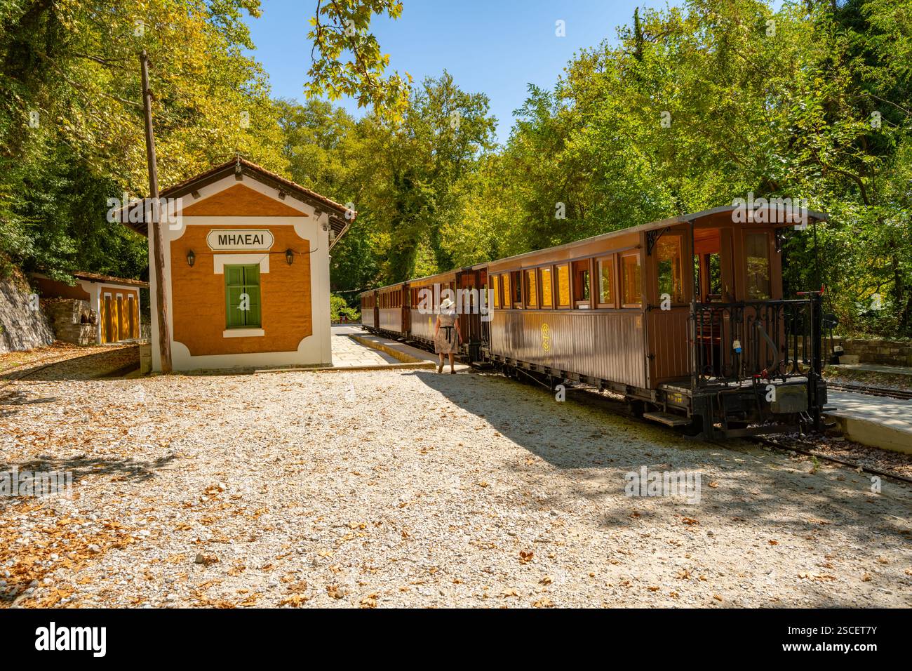 Carrozze alla stazione ferroviaria di Pelion a Milies sulle pendici del monte Pelion in Grecia Foto Stock