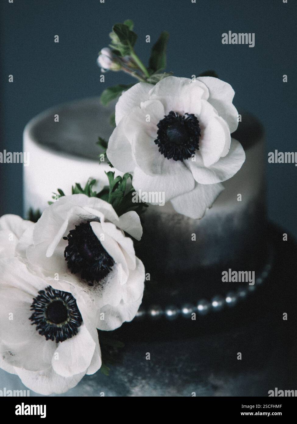 Una torta splendidamente progettata presenta strati scuri e chiari, adornati da delicati fiori bianchi e suggestivi centri scuri. Perfetto per festeggiamenti o. Foto Stock