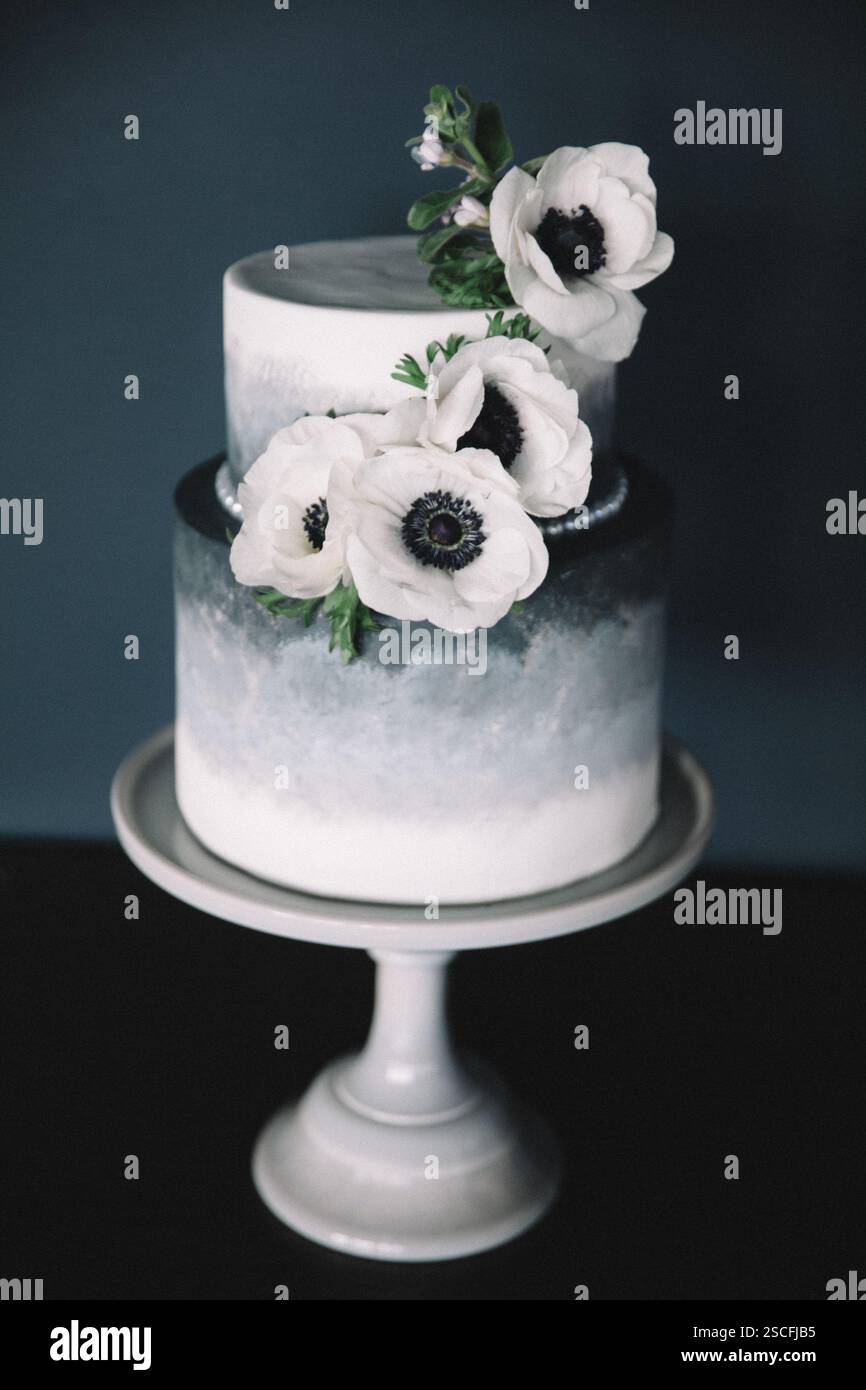 Questa torta a due livelli è caratterizzata da un design ombre liscio ed è decorata con delicati fiori bianchi, perfetti per occasioni speciali e ce Foto Stock