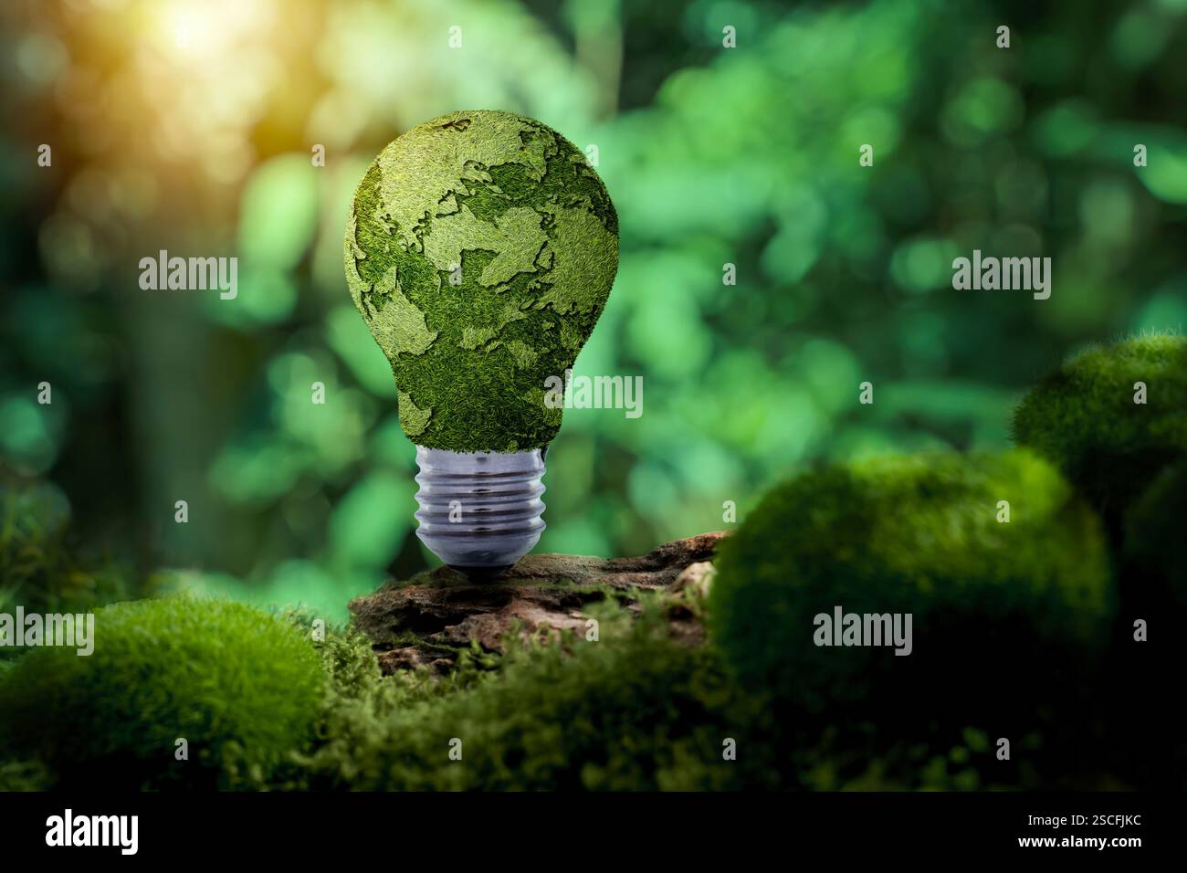 Green Business innovazione sostenibile e concetto di tecnologia ecologica. Una lampadina sul muschio verde presenta icone di sostenibilità, ecocompatibile Foto Stock
