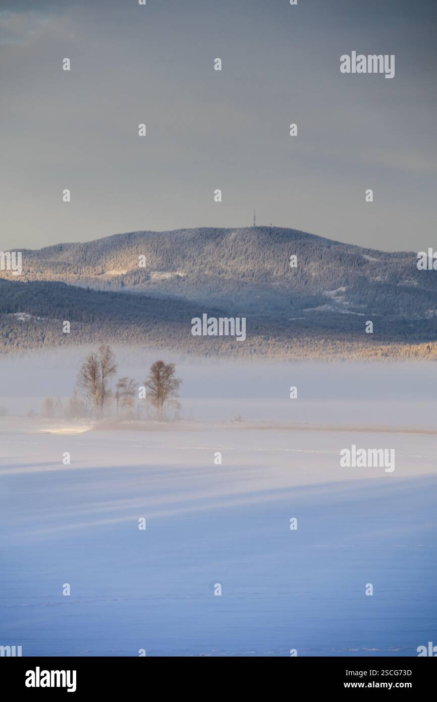 La nebbia drappa il lago, velando la montagna lontana. Un'isola di alberi solitaria si trova nella quiete, avvolto nel freddo abbraccio del silenzio invernale. Foto Stock