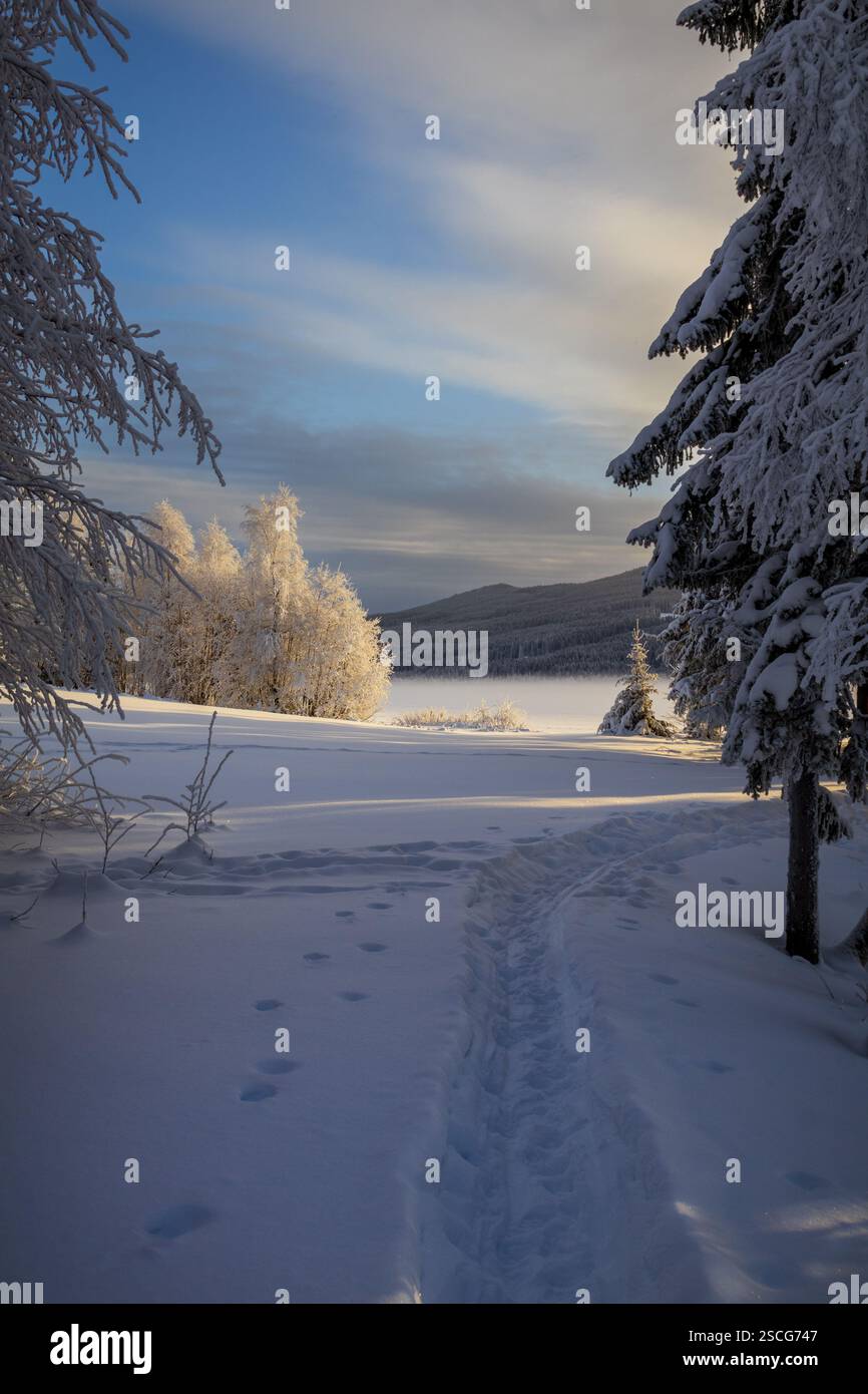 Le piste attraversano il lago innevato, svanendo nella crescente nebbia. Incombe una pesante nuvola che incontra il ghiaccio, mentre il sole si alza sopra, intrappolato tra due mondi. Foto Stock
