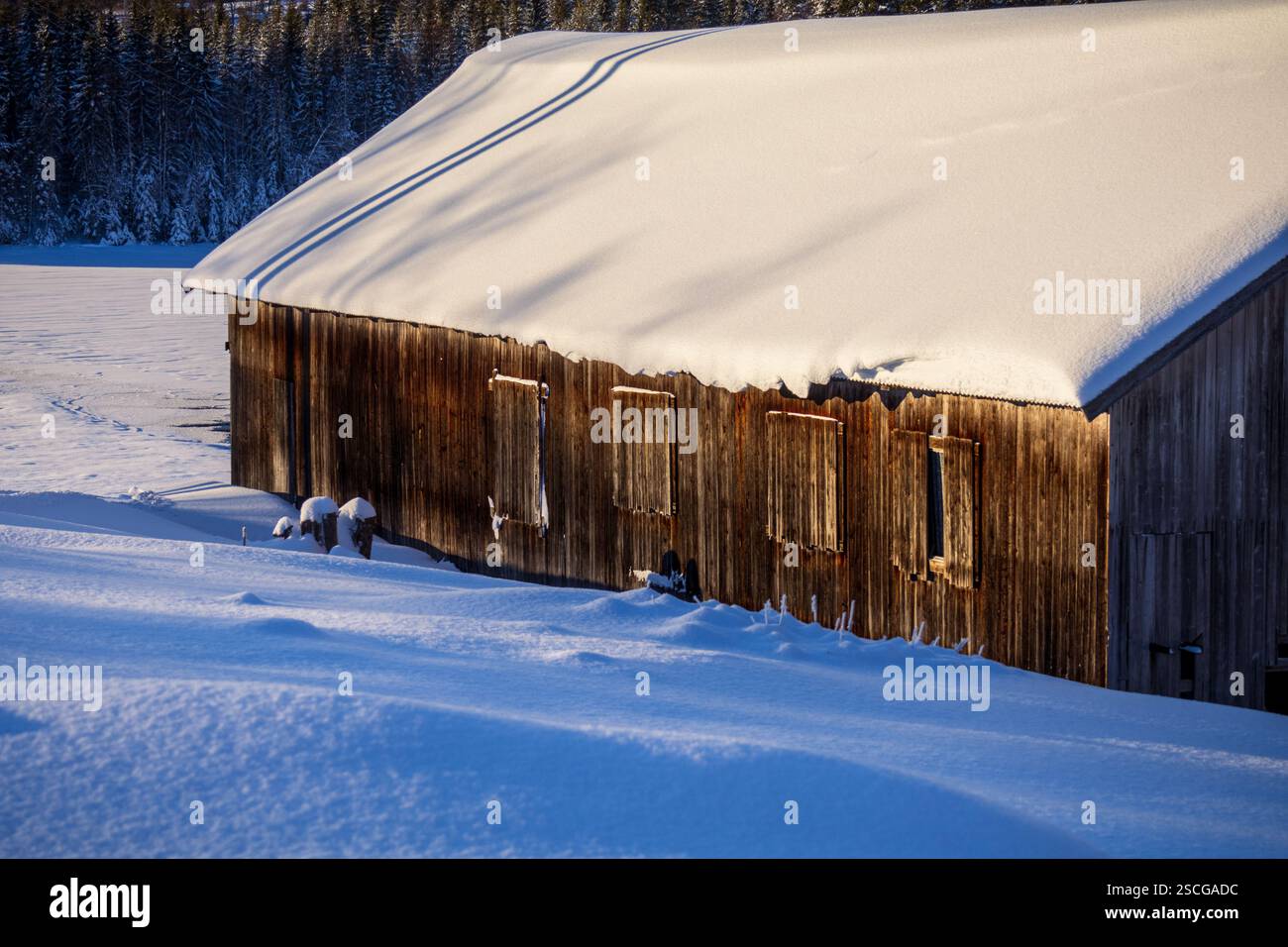 Una vecchia baracca si erge nella neve, inondata di luce dorata. Un rifugio tranquillo, intemprato dal tempo, ma caldo nel bagliore dell'abbraccio fugace dell'inverno. Foto Stock