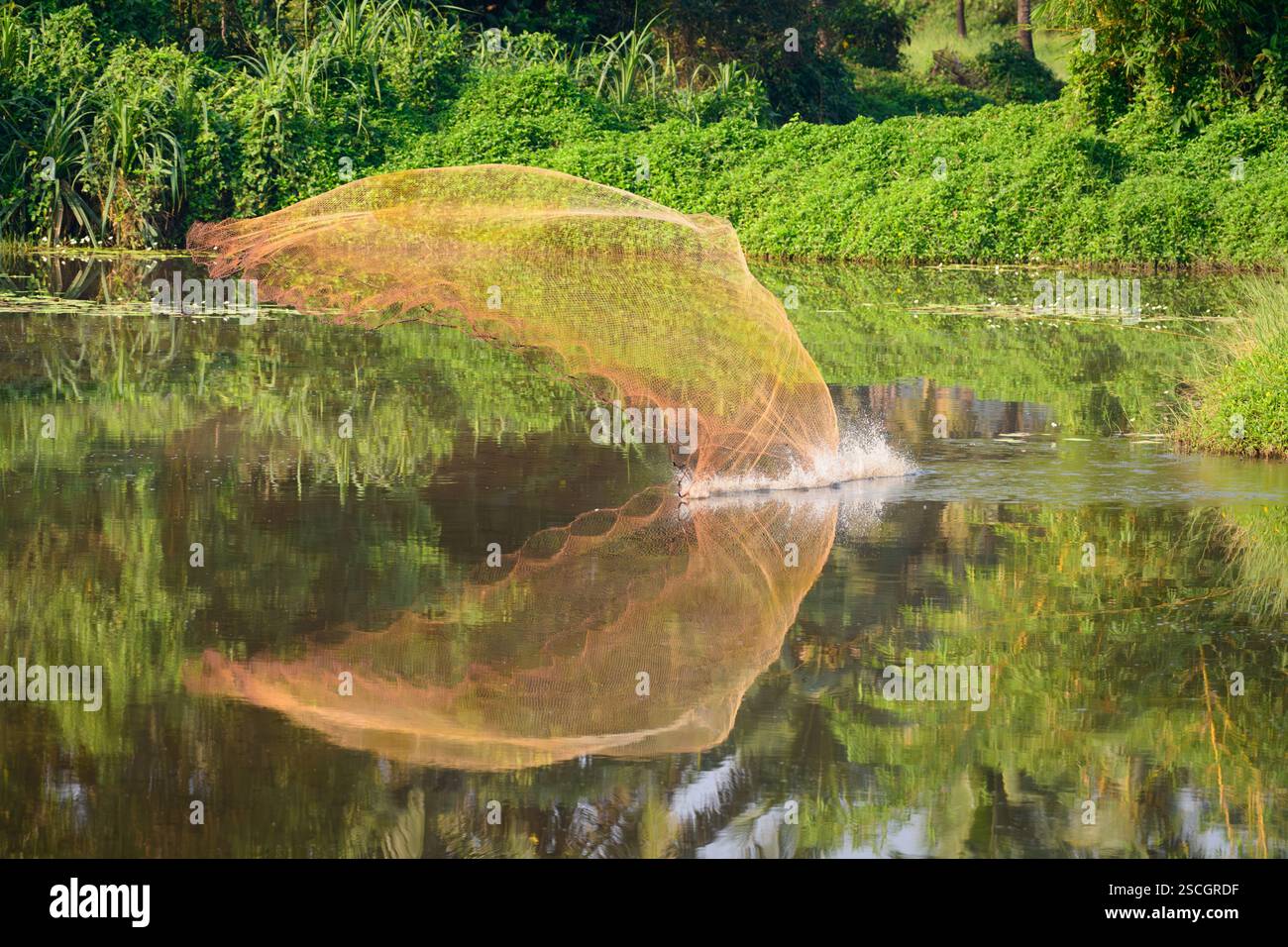 Una rete da pesca pescatore che entra in contatto con la superficie dell'acqua di un lago circondata da una vegetazione lussureggiante in una scena rurale tropicale. Foto Stock