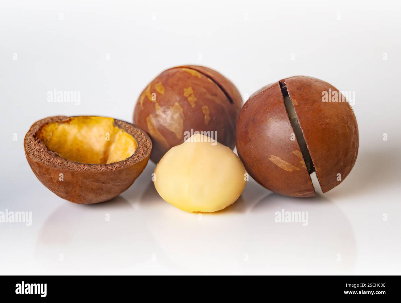 Una varietà di noci di macadamia sono disposte per mettere in risalto le loro conchiglie sode e la loro consistenza ricca e cremosa, invitando a dare un'occhiata più da vicino. Foto Stock