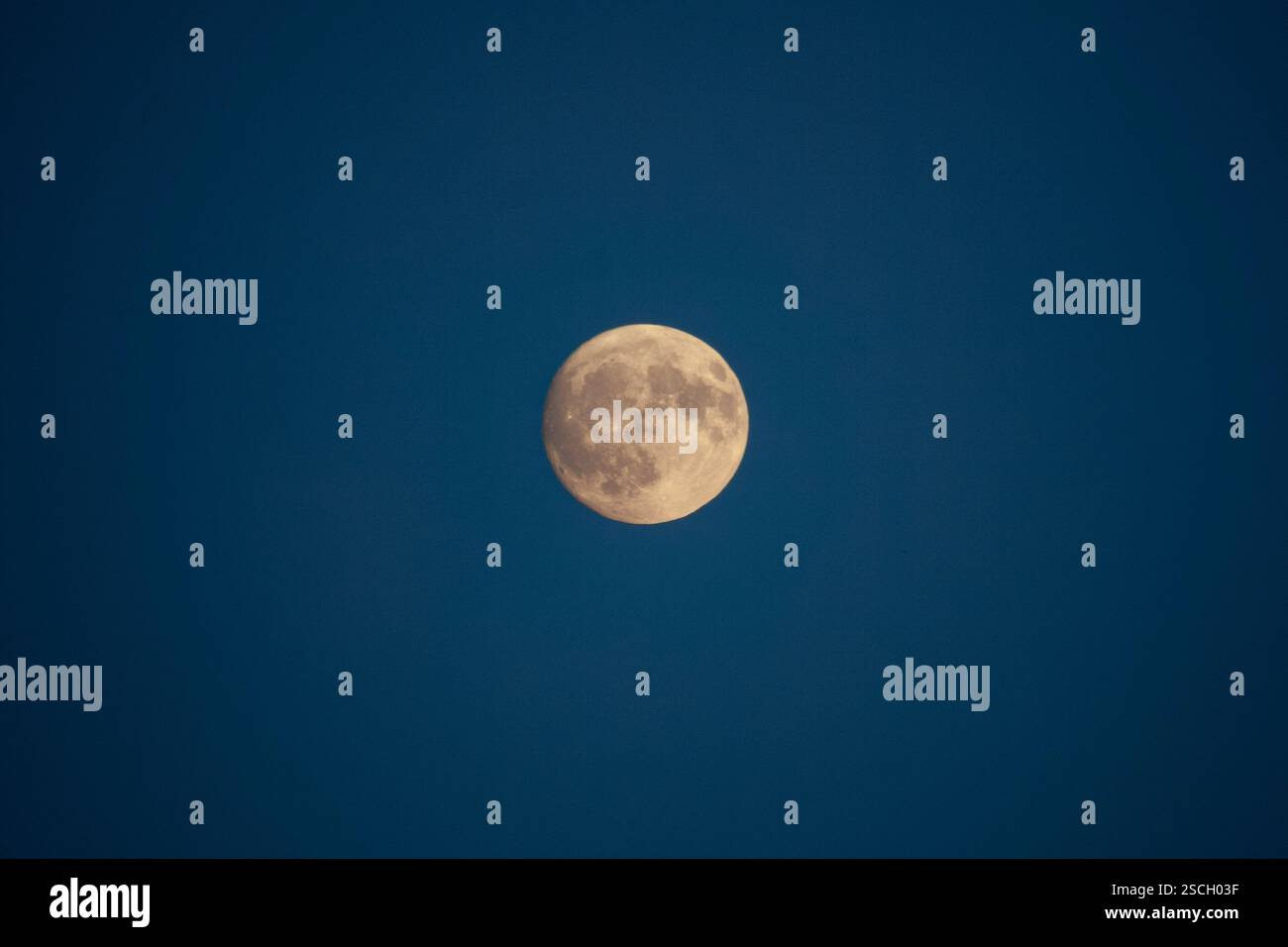 Una luna piena durante la notte blu satura Foto Stock