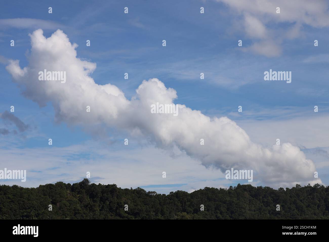 pennacchio di fumo bianco o linea di nuvole sopra la fitta foresta pluviale contro cieli blu (cielo) Foto Stock