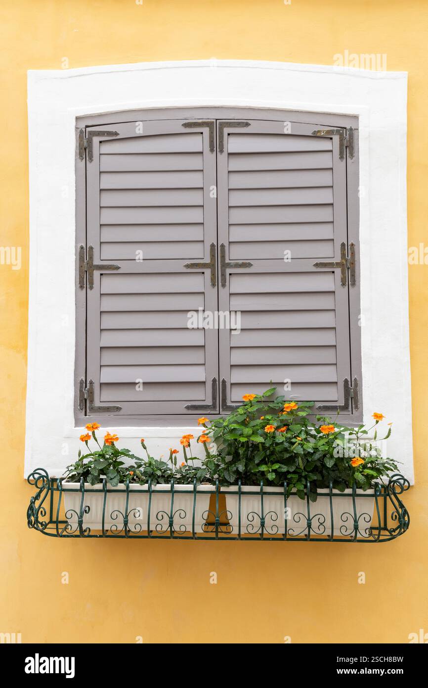 Finestra in giallo coloniale e grigio con vasi di fiori Foto Stock